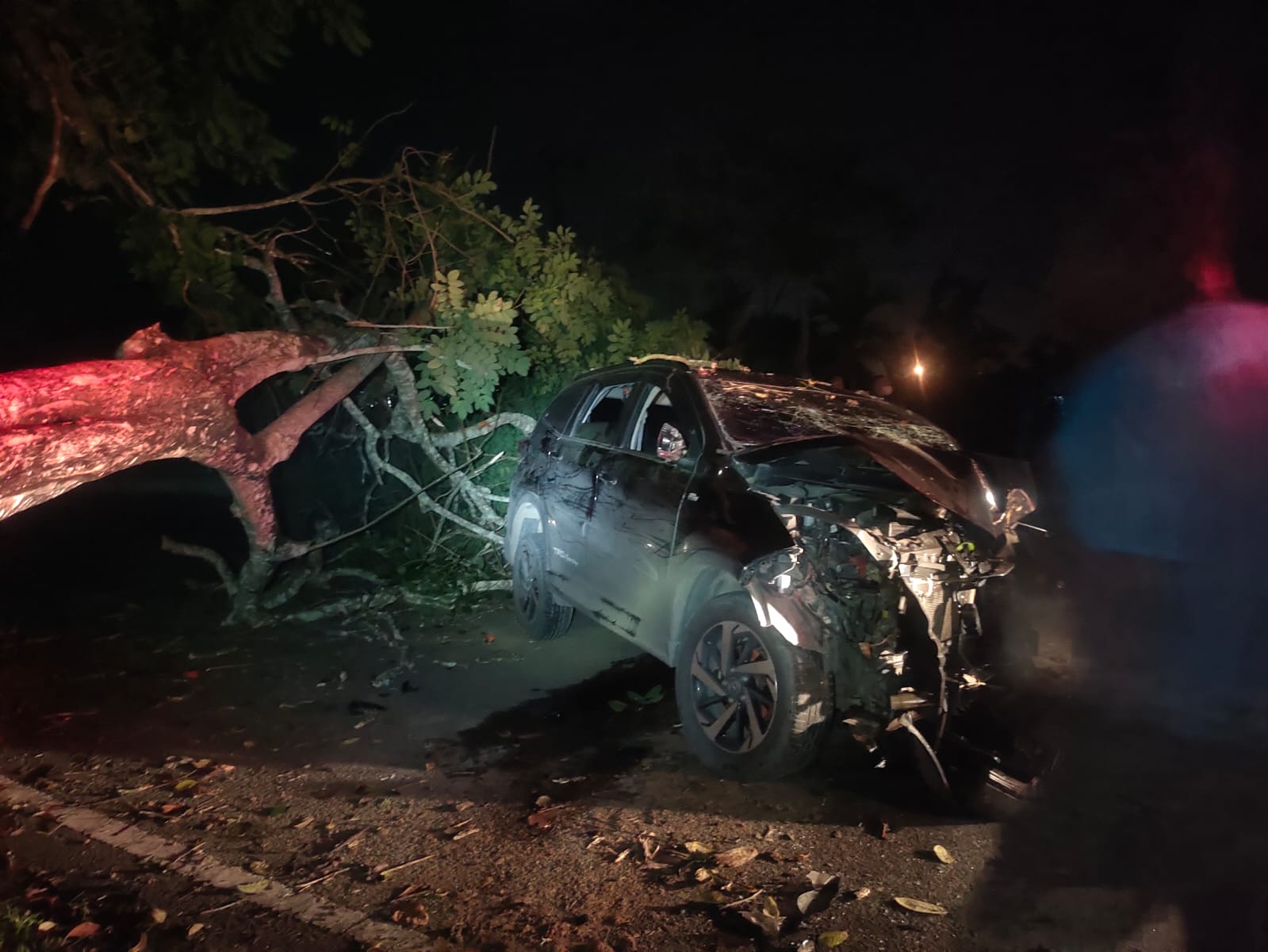Laka Tunggal Mobil Tabrak Pohon di Bontang Lestari, Sopir Selamat