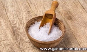 garam-kasar-sidoarjo Distributor Resmi Garam Krosok Madura di Surabaya